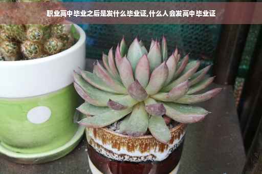 职业高中毕业之后是发什么毕业证,什么人会发高中毕业证