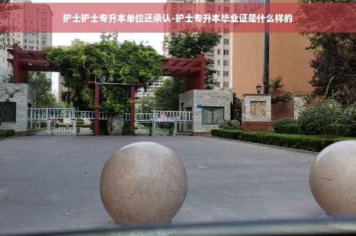 护士护士专升本单位还承认-护士专升本毕业证是什么样的