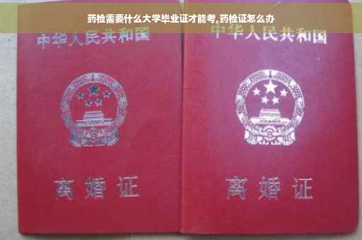 药检需要什么大学毕业证才能考,药检证怎么办