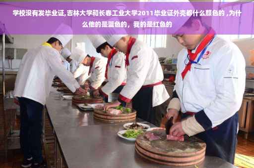 学校没有发毕业证,吉林大学和长春工业大学2011毕业证外壳都什么颜色的 ,为什么他的是蓝色的，我的是红色的
