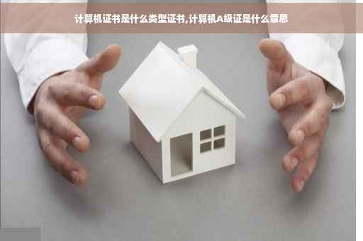 计算机证书是什么类型证书,计算机A级证是什么意思