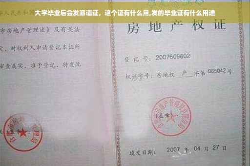大学毕业后会发派遣证，这个证有什么用,发的毕业证有什么用途