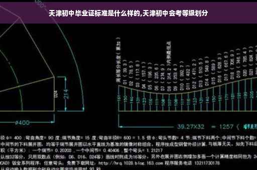 天津初中毕业证标准是什么样的,天津初中会考等级划分
