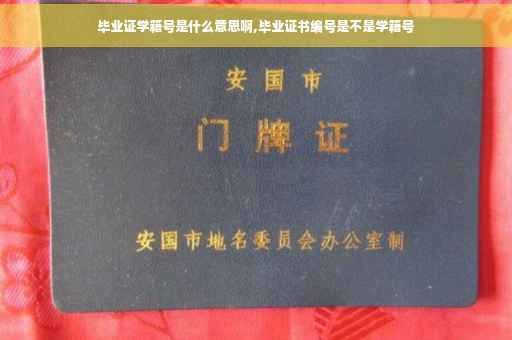 毕业证学籍号是什么意思啊,毕业证书编号是不是学籍号