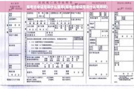 报考毕业证号是什么意思(报考毕业证号是什么意思啊)