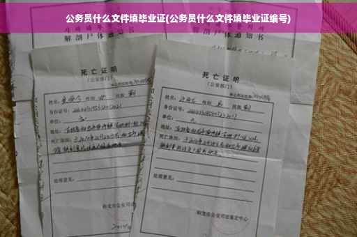 公务员什么文件填毕业证(公务员什么文件填毕业证编号)