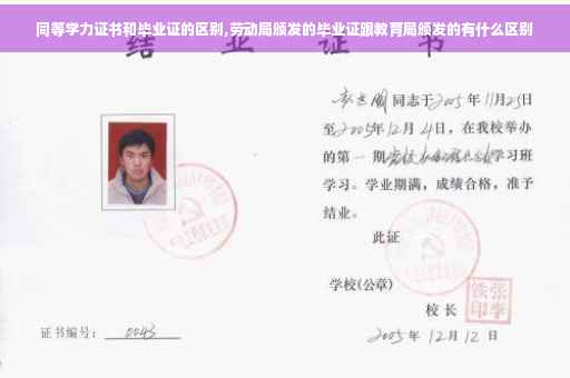 同等学力证书和毕业证的区别,劳动局颁发的毕业证跟教育局颁发的有什么区别