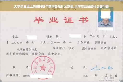 大学毕业证上的编码各个数字各是什么意思,大学毕业证是什么部门管