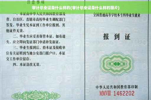 审计毕业证是什么样的(审计毕业证是什么样的图片)