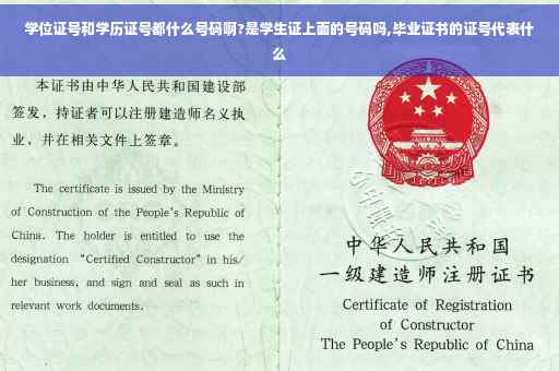 学位证号和学历证号都什么号码啊?是学生证上面的号码吗,毕业证书的证号代表什么