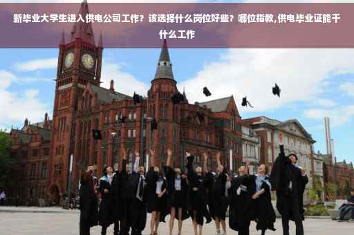新毕业大学生进入供电公司工作？该选择什么岗位好些？哪位指教,供电毕业证能干什么工作