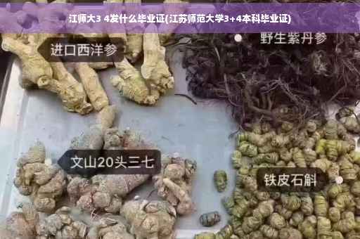 江师大3 4发什么毕业证(江苏师范大学3+4本科毕业证)