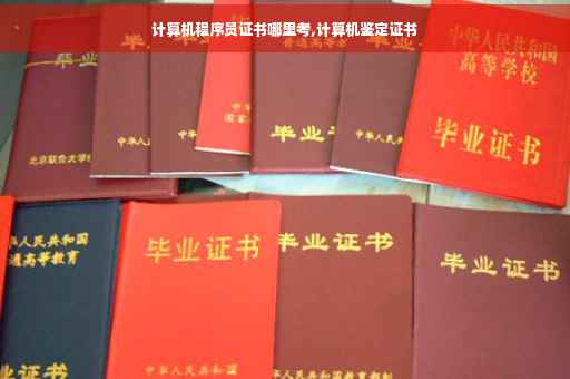 计算机程序员证书哪里考,计算机鉴定证书