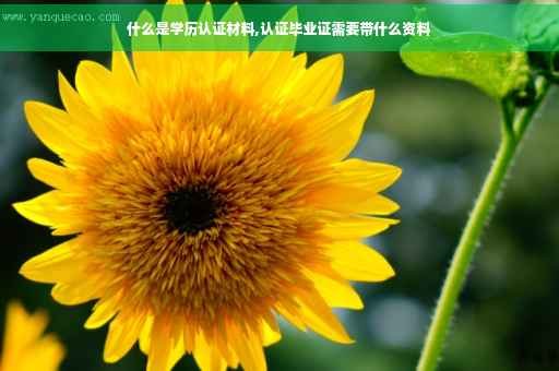 什么是学历认证材料,认证毕业证需要带什么资料