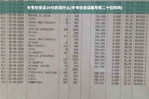中专毕业证20位的是什么(中专毕业证编号有二十位的吗) 中专毕业证20位的是什么(中专毕业证编号有二十位的吗)