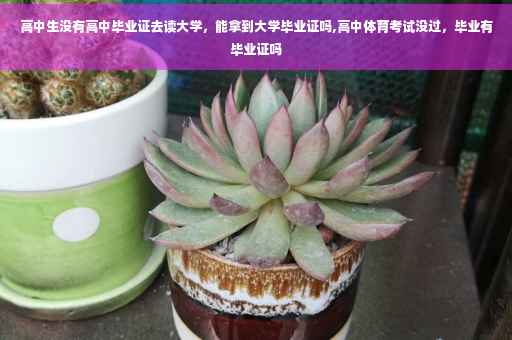 高中生没有高中毕业证去读大学，能拿到大学毕业证吗,高中体育考试没过，毕业有毕业证吗