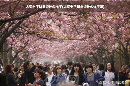 大专电子毕业证什么样子(大专电子毕业证什么样子啊)
