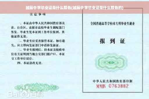 城厢中学毕业证是什么颜色(城厢中学毕业证是什么颜色的)