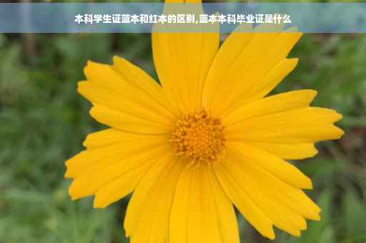 本科学生证蓝本和红本的区别,蓝本本科毕业证是什么