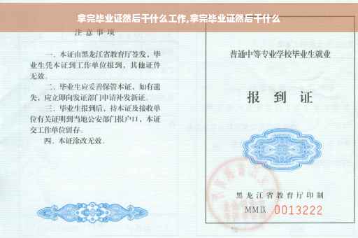 拿完毕业证然后干什么工作,拿完毕业证然后干什么