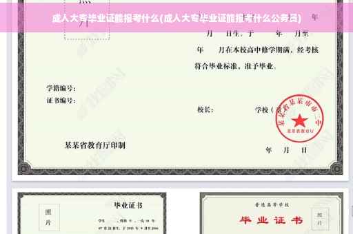 成人大专毕业证能报考什么(成人大专毕业证能报考什么公务员)