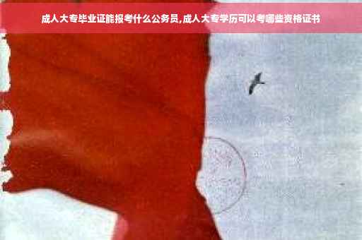 成人大专毕业证能报考什么公务员,成人大专学历可以考哪些资格证书