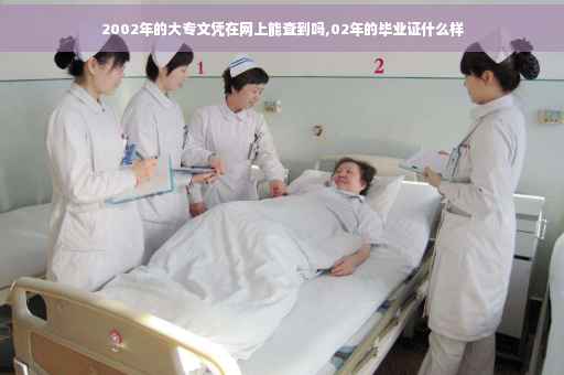 2002年的大专文凭在网上能查到吗,02年的毕业证什么样