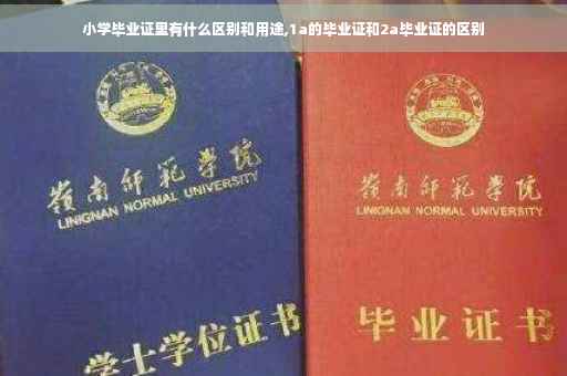 小学毕业证里有什么区别和用途,1a的毕业证和2a毕业证的区别