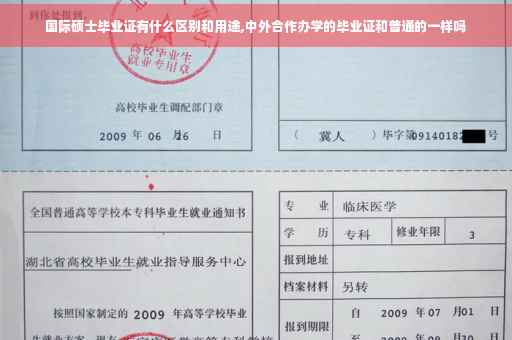 国际硕士毕业证有什么区别和用途,中外合作办学的毕业证和普通的一样吗