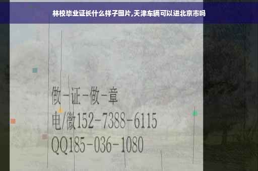 林校毕业证长什么样子图片,天津车辆可以进北京市吗