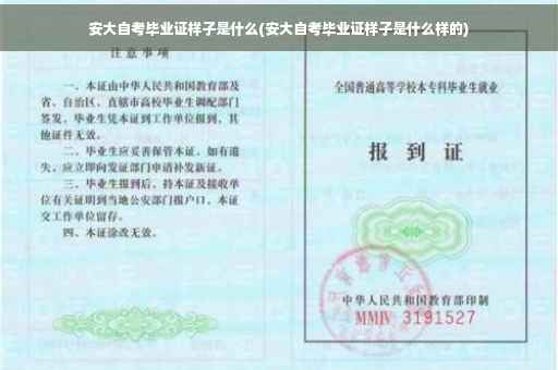 安大自考毕业证样子是什么(安大自考毕业证样子是什么样的)