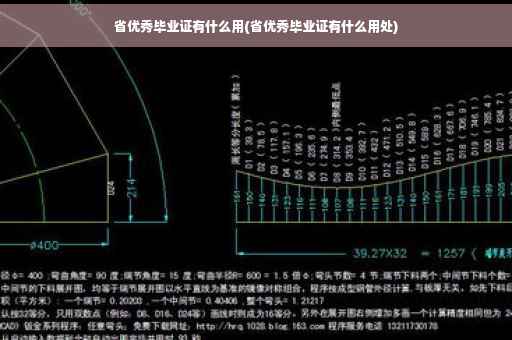 省优秀毕业证有什么用(省优秀毕业证有什么用处)
