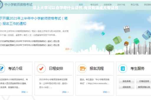 没上大学可以自学考什么证书,有没有速成大专证书