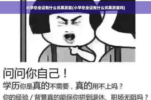 小学毕业证有什么优惠政策(小学毕业证有什么优惠政策吗)