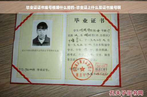 毕业证证书编号根据什么排的-毕业证上什么是证书编号啊