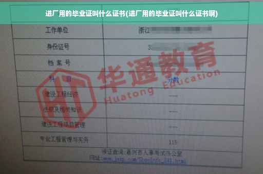 进厂用的毕业证叫什么证书(进厂用的毕业证叫什么证书啊)