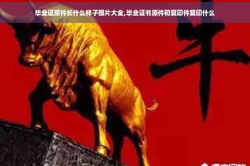 毕业证原件长什么样子图片大全,毕业证书原件和复印件复印什么