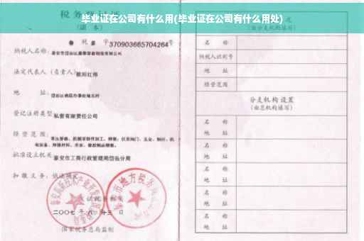 毕业证在公司有什么用(毕业证在公司有什么用处)