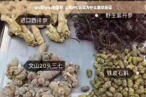 ipc和ipqc的区别,公司IPC认证为什么要毕业证