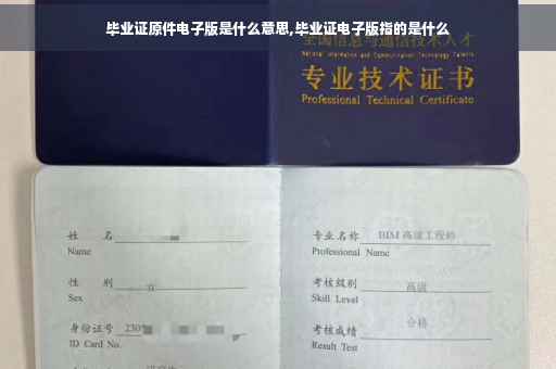 毕业证原件电子版是什么意思,毕业证电子版指的是什么