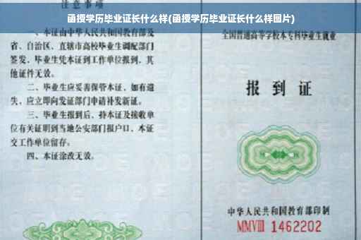 函授学历毕业证长什么样(函授学历毕业证长什么样图片)