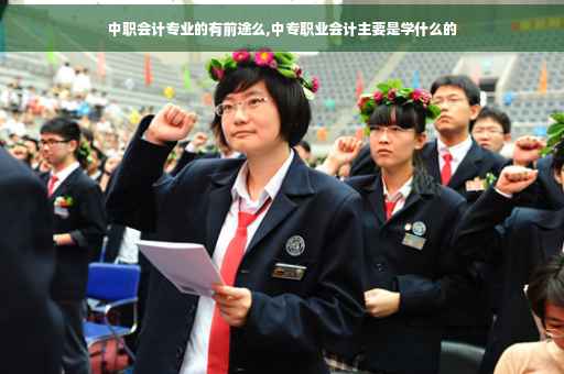 中职会计专业的有前途么,中专职业会计主要是学什么的