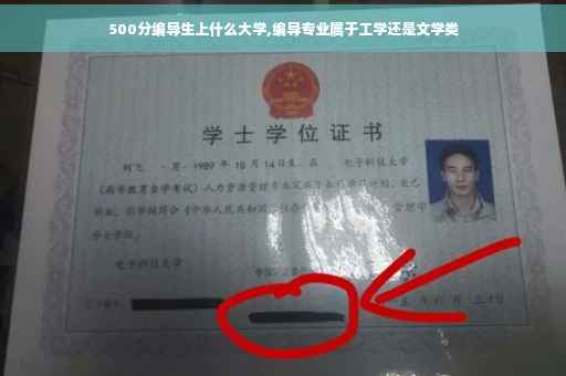 500分编导生上什么大学,编导专业属于工学还是文学类