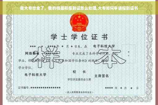 我大专毕业了，我的档案和报到证怎么处理,大专如何申请报到证书