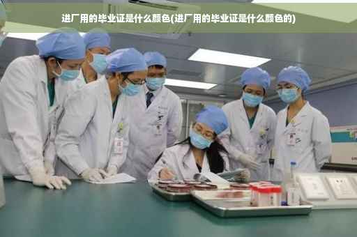 进厂用的毕业证是什么颜色(进厂用的毕业证是什么颜色的)