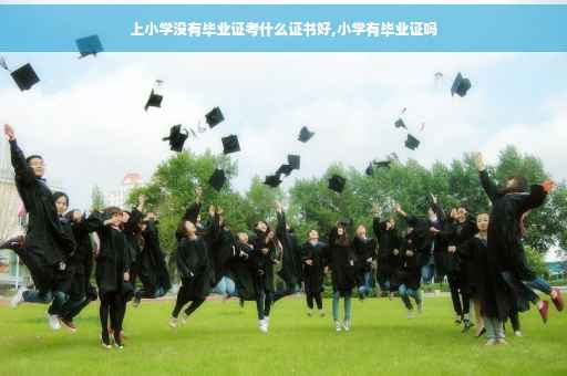 上小学没有毕业证考什么证书好,小学有毕业证吗