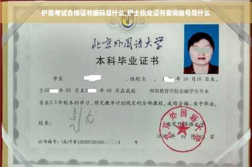 护资考试合格证书编码是什么,护士执业证书查询编号是什么