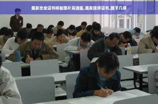 美发毕业证书样板图片高清版,美发技师证书,属于几级