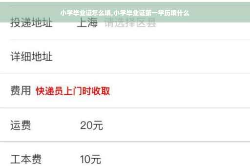 小学毕业证怎么填,小学毕业证第一学历填什么