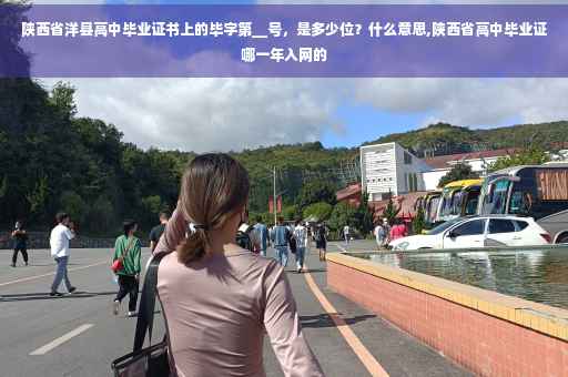 陕西省洋县高中毕业证书上的毕字第__号，是多少位？什么意思,陕西省高中毕业证哪一年入网的